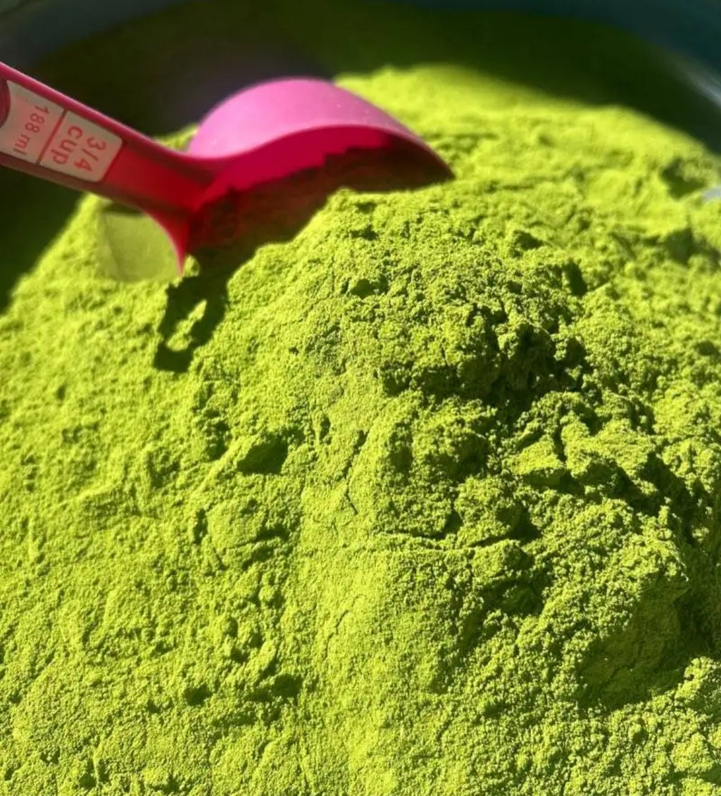 Moringa powder