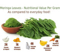 Moringa powder