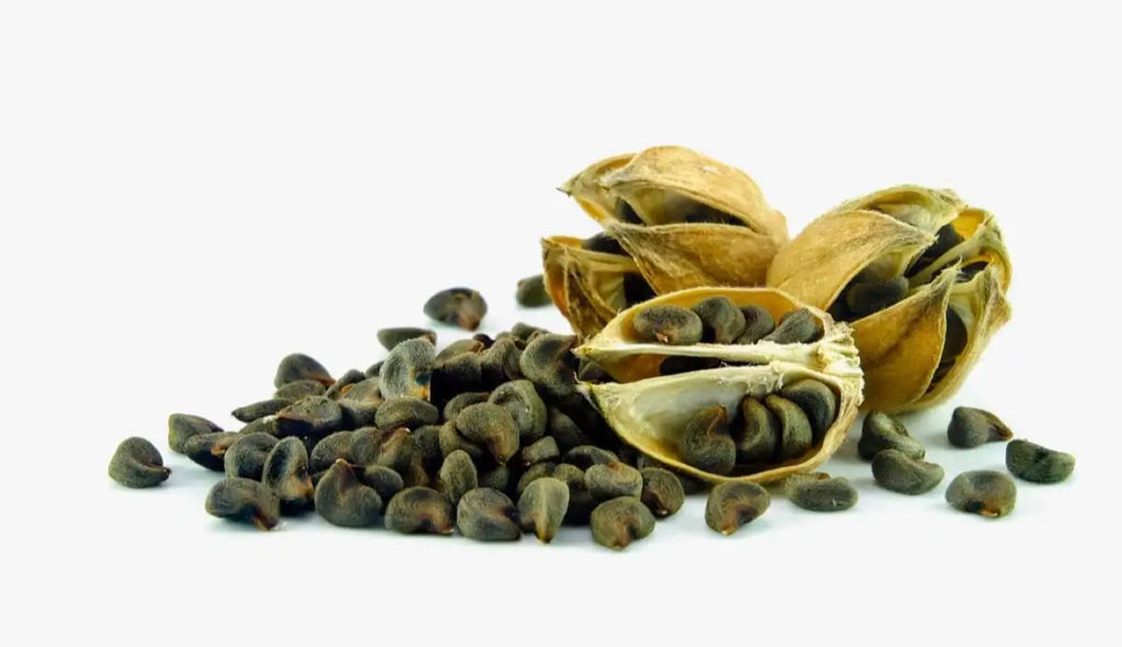 Bulk Hibiscus seeds