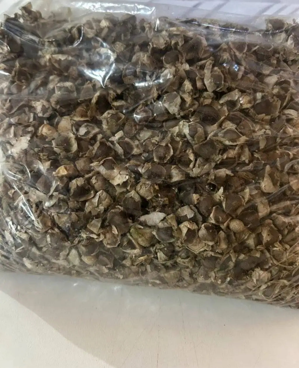 Bulk Moringa seeds