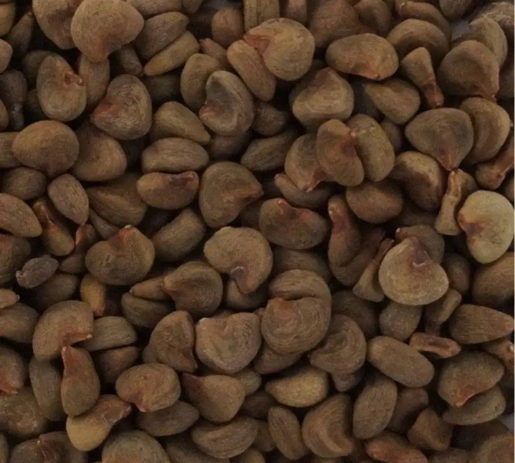 Bulk Hibiscus seeds