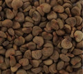 Bulk Hibiscus seeds