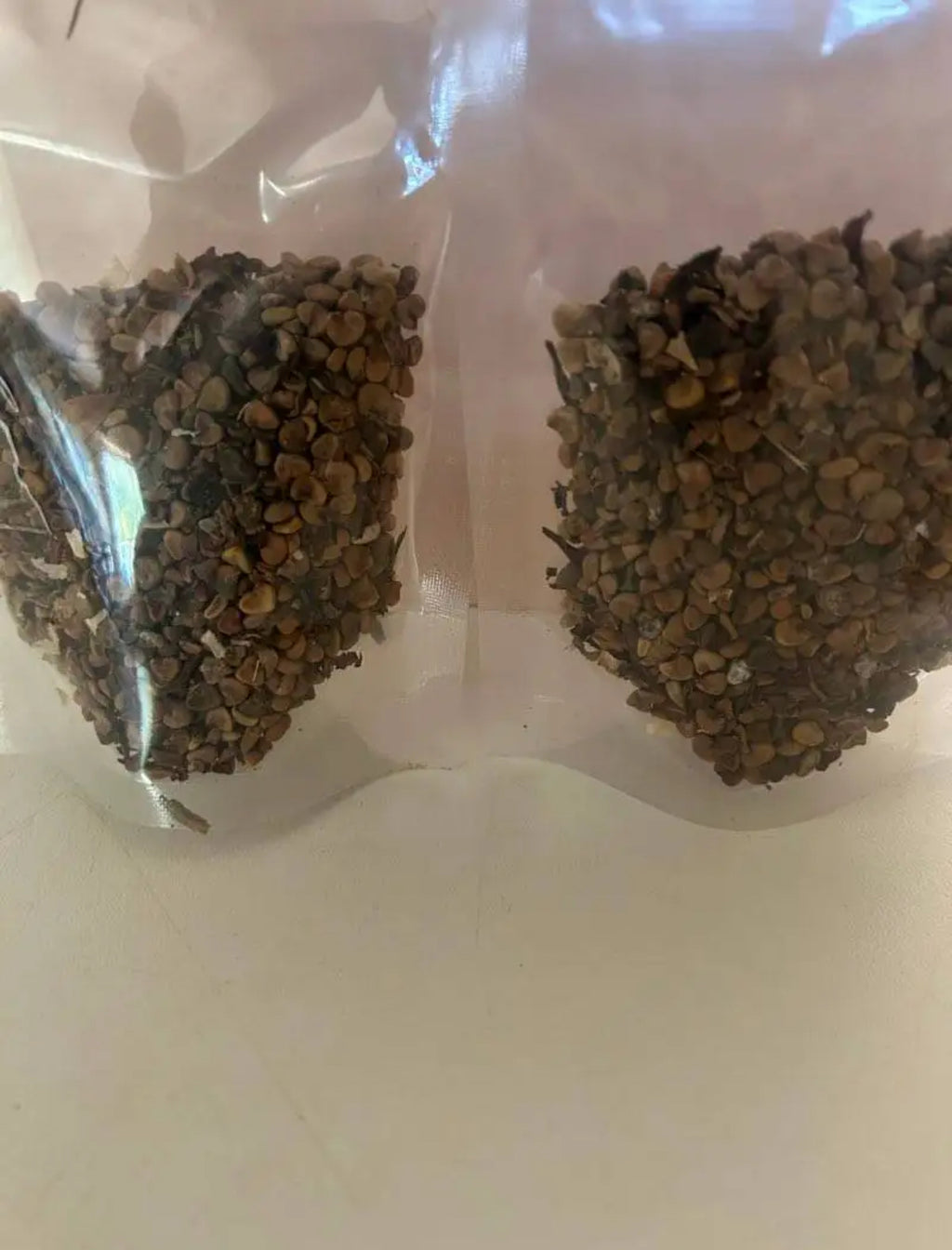 Bulk Hibiscus seeds