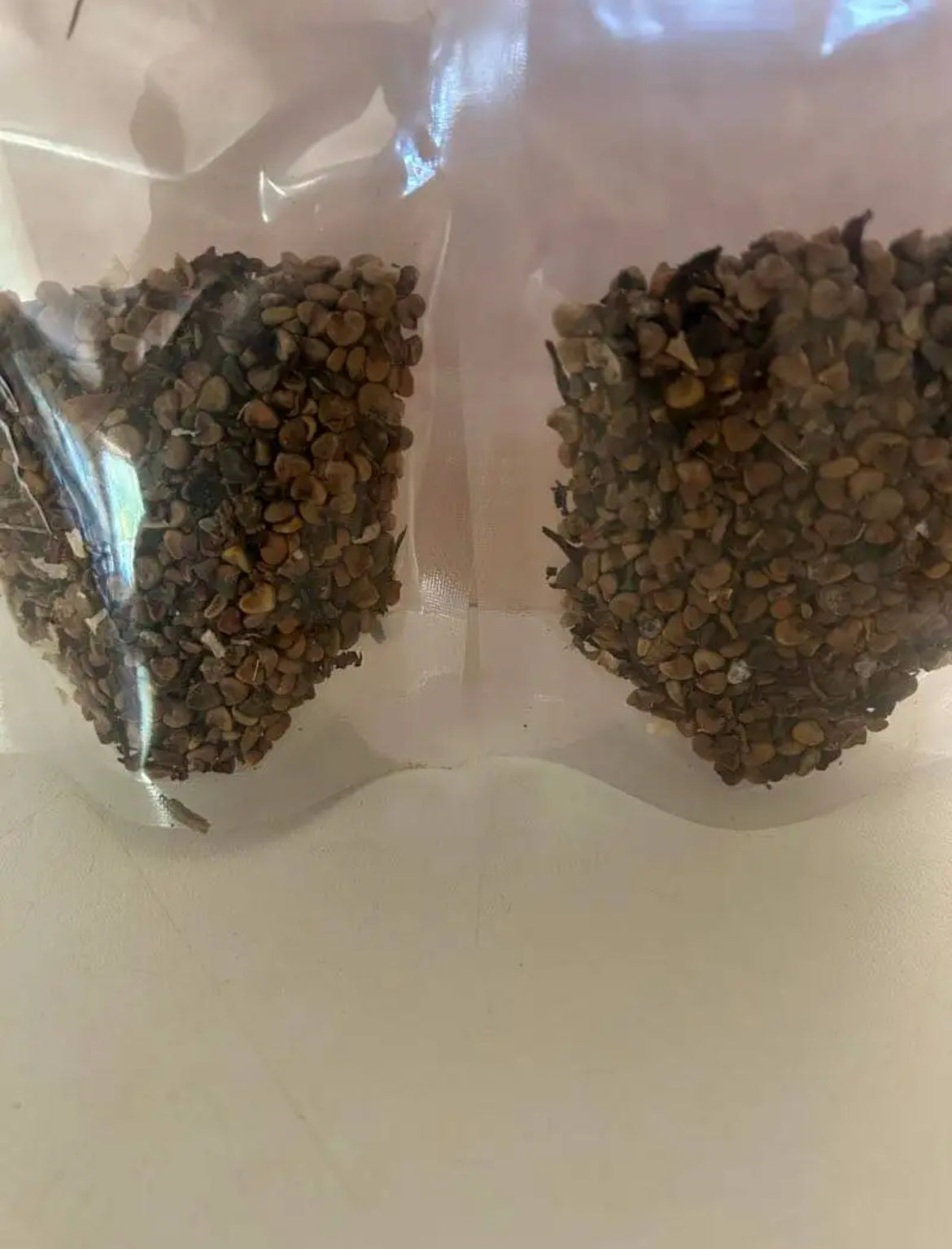Bulk Hibiscus seeds